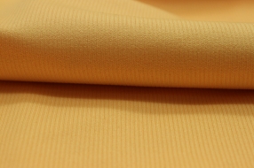 Lycra Fabric