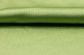 Lycra Fabric