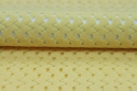 Lycra Fabric