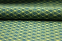 Lycra Fabric